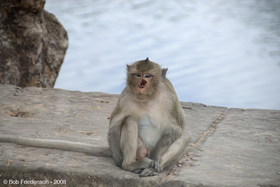 068-Angkor_Wat_DSC5549a