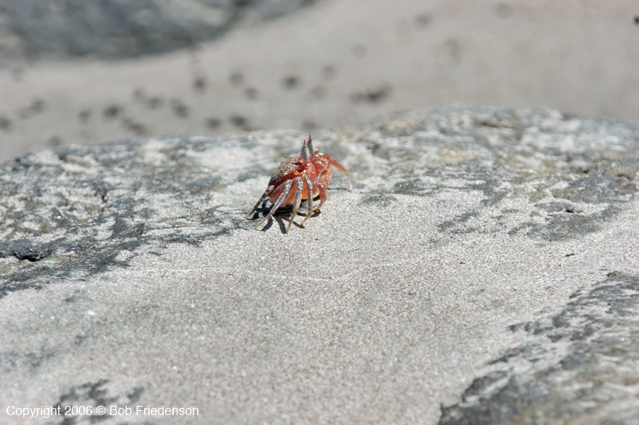 Costa_Rica_DSC_4038