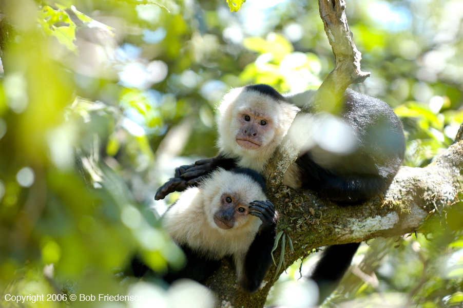 Costa_Rica_DSC_5790