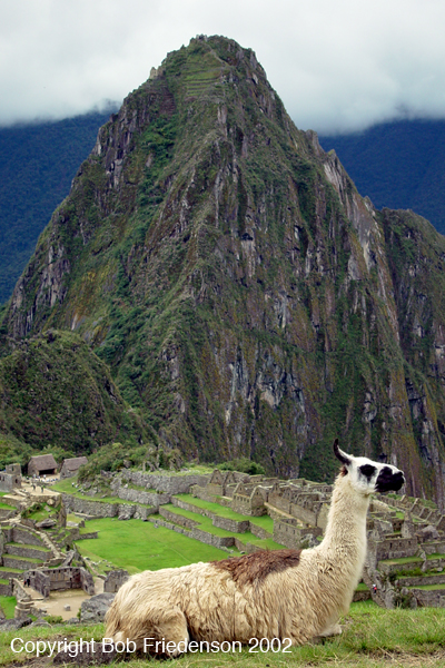 Peru_DSC01165-Machu Picchu