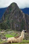 Peru_DSC01165-Machu Picchu
