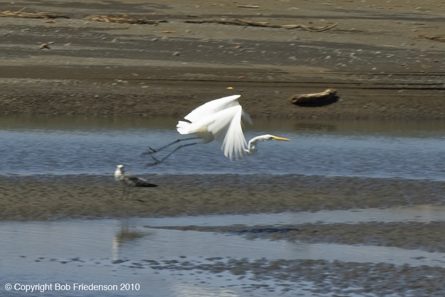 Playa_Pelada_DSC2893