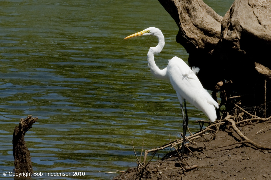 Playa_Pelada_DSC2949