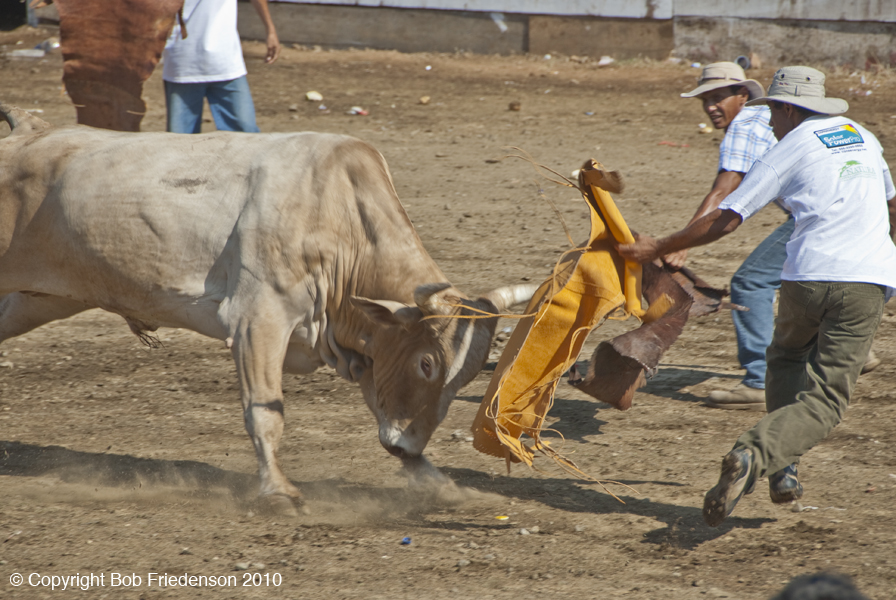 Santa _Cruz_Rodeo_DSC2632