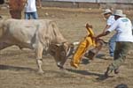 Santa _Cruz_Rodeo_DSC2632